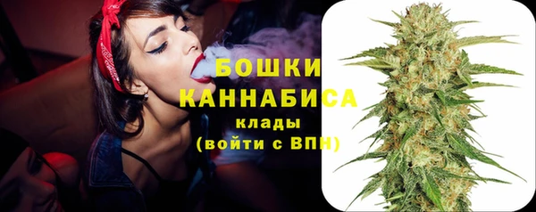 Альфа ПВП Новозыбков