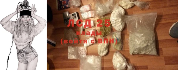 ГАЛЛЮЦИНОГЕННЫЕ ГРИБЫ Новодвинск