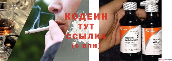 Альфа ПВП Новозыбков