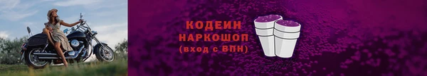 Альфа ПВП Новозыбков