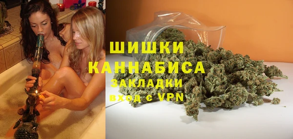 ГАЛЛЮЦИНОГЕННЫЕ ГРИБЫ Новодвинск