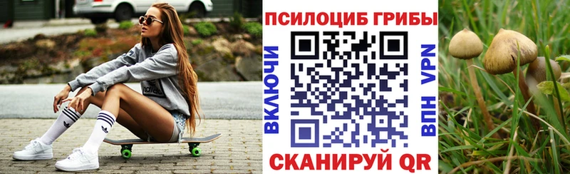 Псилоцибиновые грибы GOLDEN TEACHER  купить наркоту  кракен ONION  Таганрог 